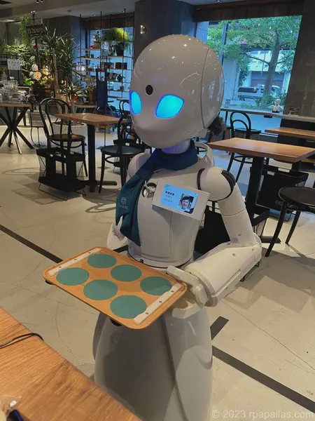 Served by a tele-operated robot in Tokyo, Japan